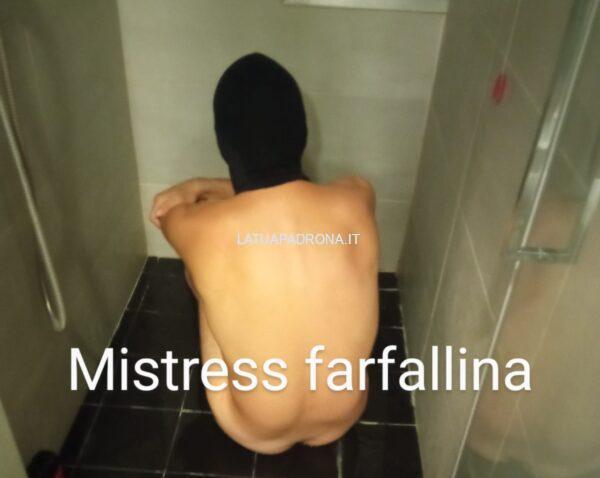 Farfallina