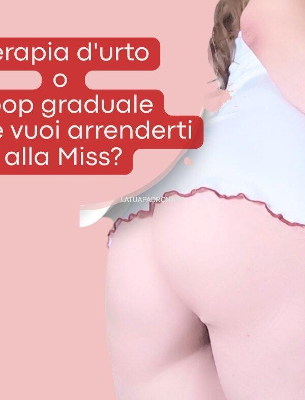 MissLeyla