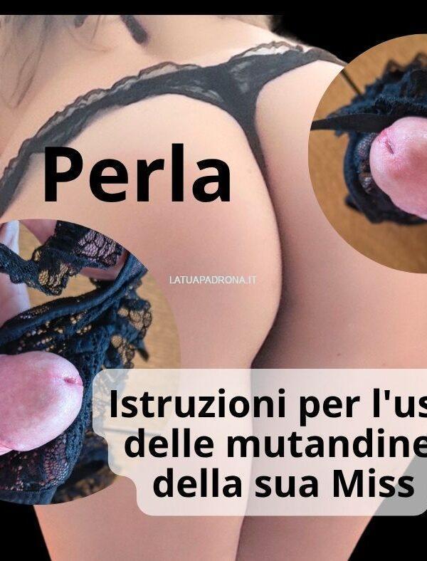 MissLeyla