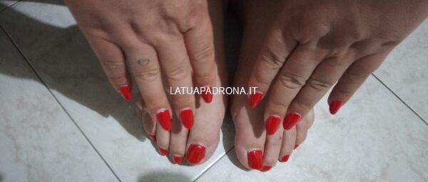 CLAUDIA TRANS PADRONA