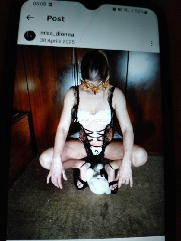 Dionea Ely